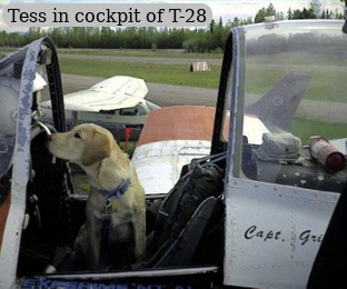 Tess in cockpit of T-28