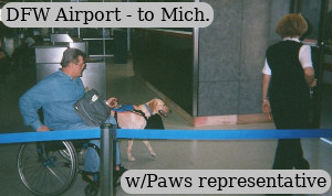 Paws at DFW airport