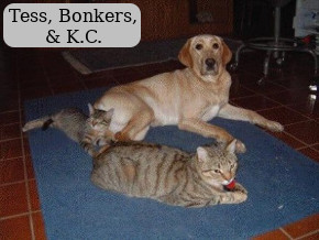 Tess, Bonkers, & K.C.