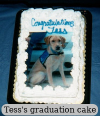 Tess's graduation cake